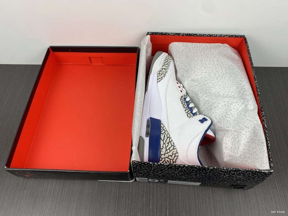 Blue Retro  Jordan 854262-106 (2016) True 3  0201